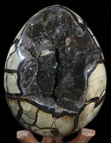 Septarian Dragon Egg Geode - lbs #40935